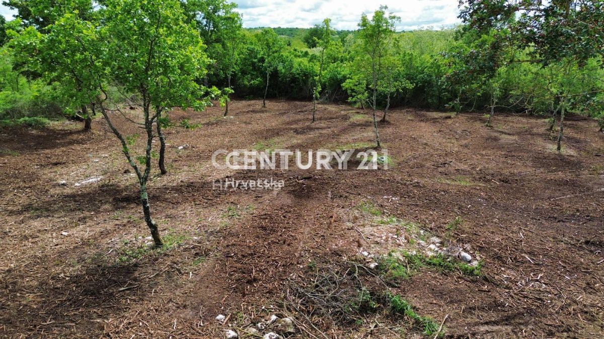 Prodaja, zemljišče, zazidljivo, Istarska županija, Višnjan