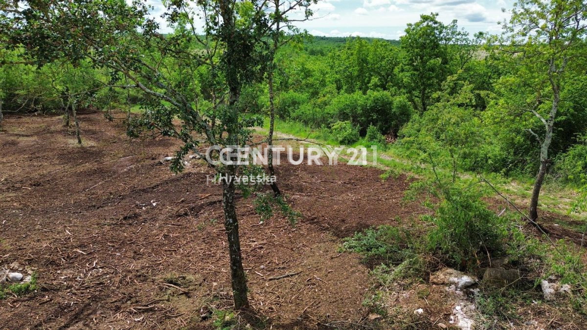 Prodaja, zemljišče, zazidljivo, Istarska županija, Višnjan