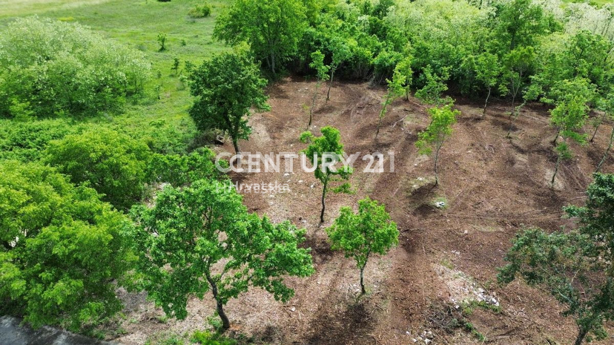 Prodaja, zemljišče, zazidljivo, Istarska županija, Višnjan