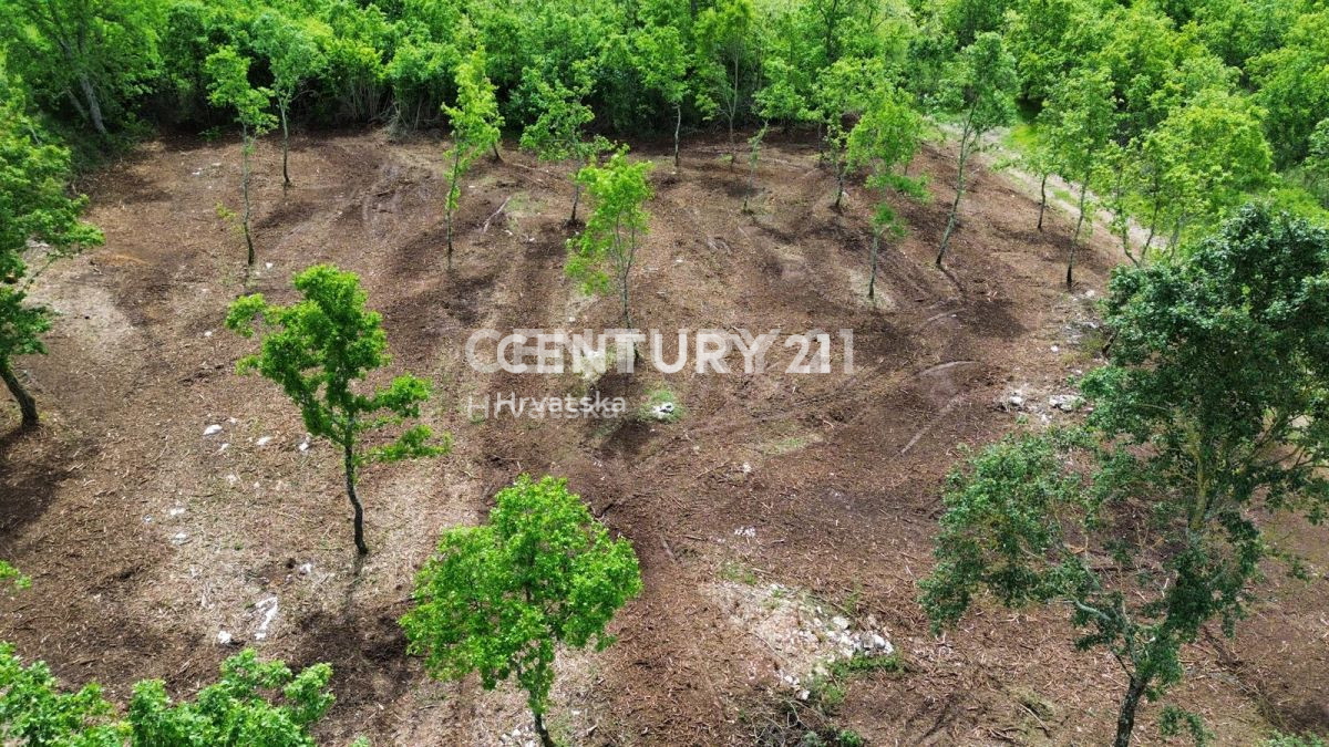 Prodaja, zemljišče, zazidljivo, Istarska županija, Višnjan