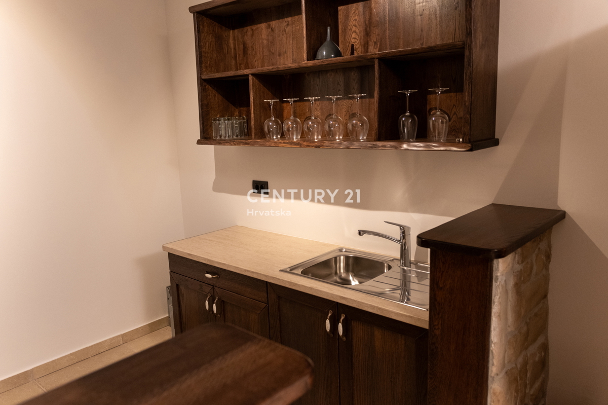 BUJE, KAMENA NOVOZIDANA VILA OBKROŽENA Z NARAVO