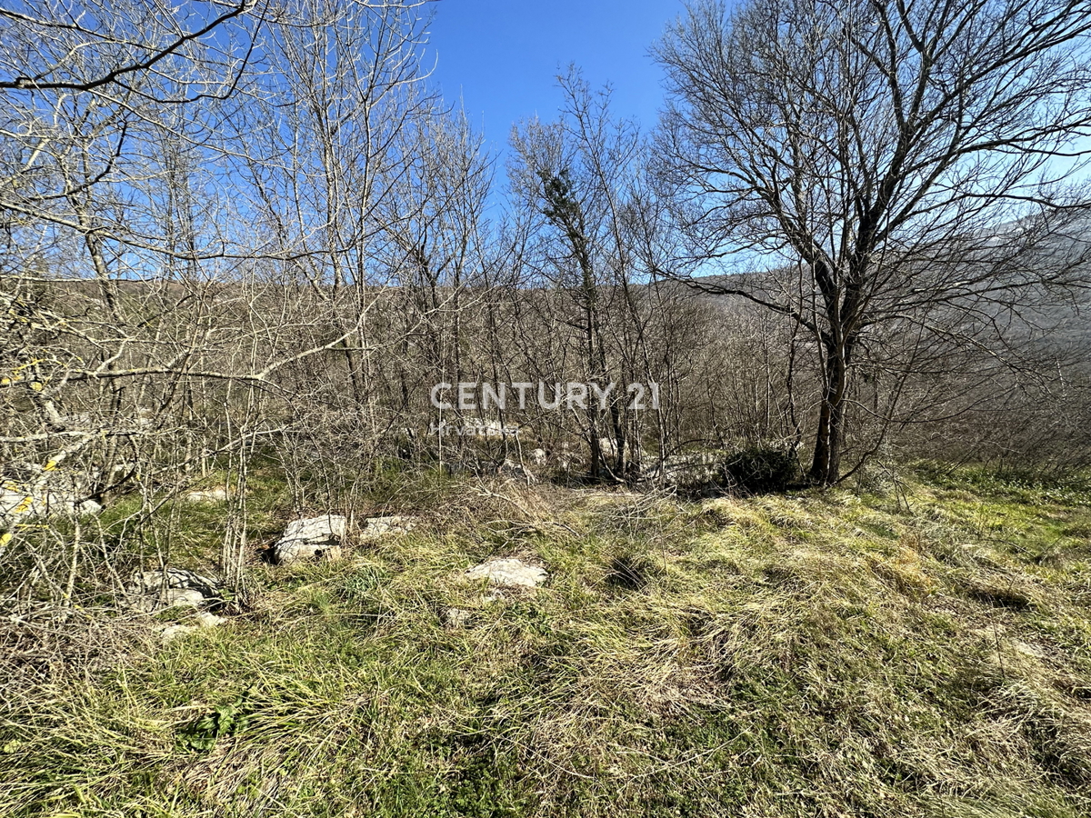 KRŠAN, TRI KAMNITE HIŠE Z VELIKIM GRADBENO OKOLIŠČEM, ODPRT POGLED NA NARAVO