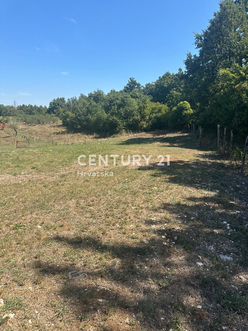 POREČ, LEPO GRADBENIŠKO ZEMLJIŠČE NA ZADNJI POLOŽAJ V GRADBENI ZONI