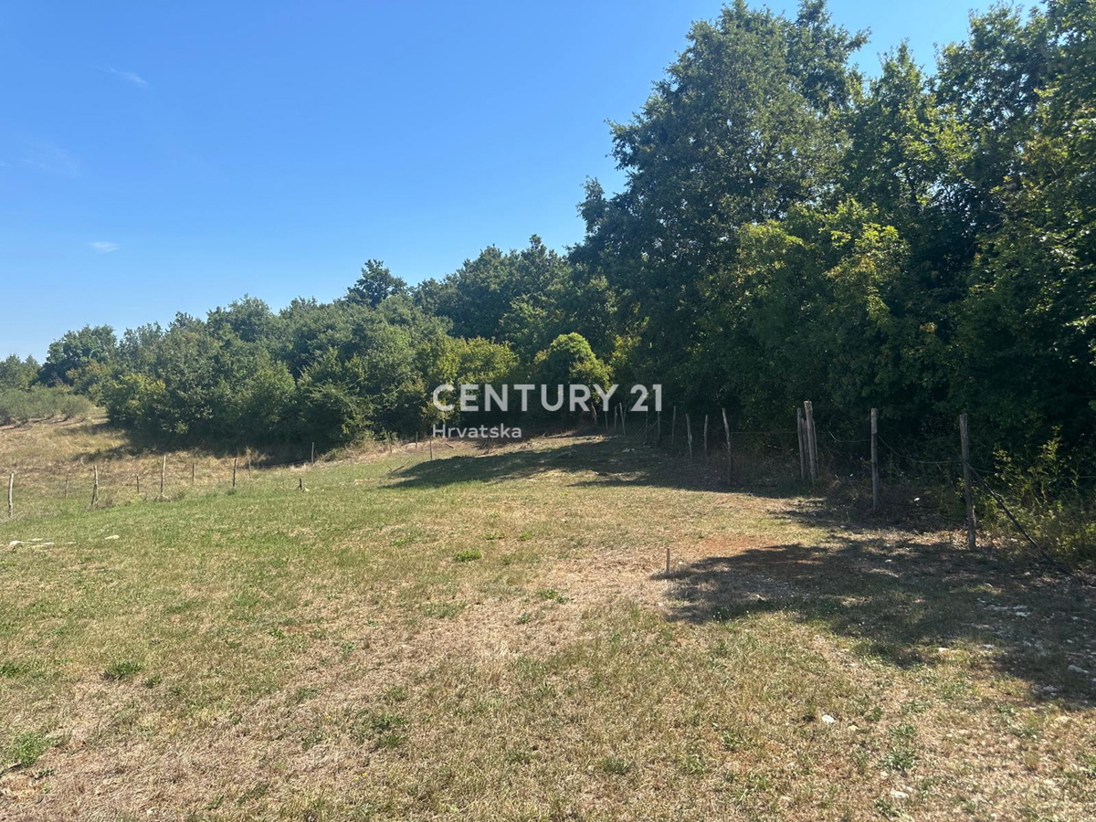 POREČ, LEPO GRADBENIŠKO ZEMLJIŠČE NA ZADNJI POLOŽAJ V GRADBENI ZONI