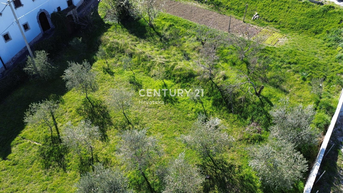 VIŽINADA, PRODAJA GRADBENIŠKEGA ZEMLJIŠČA Z RAZGLEDOM NA MOTOVUN