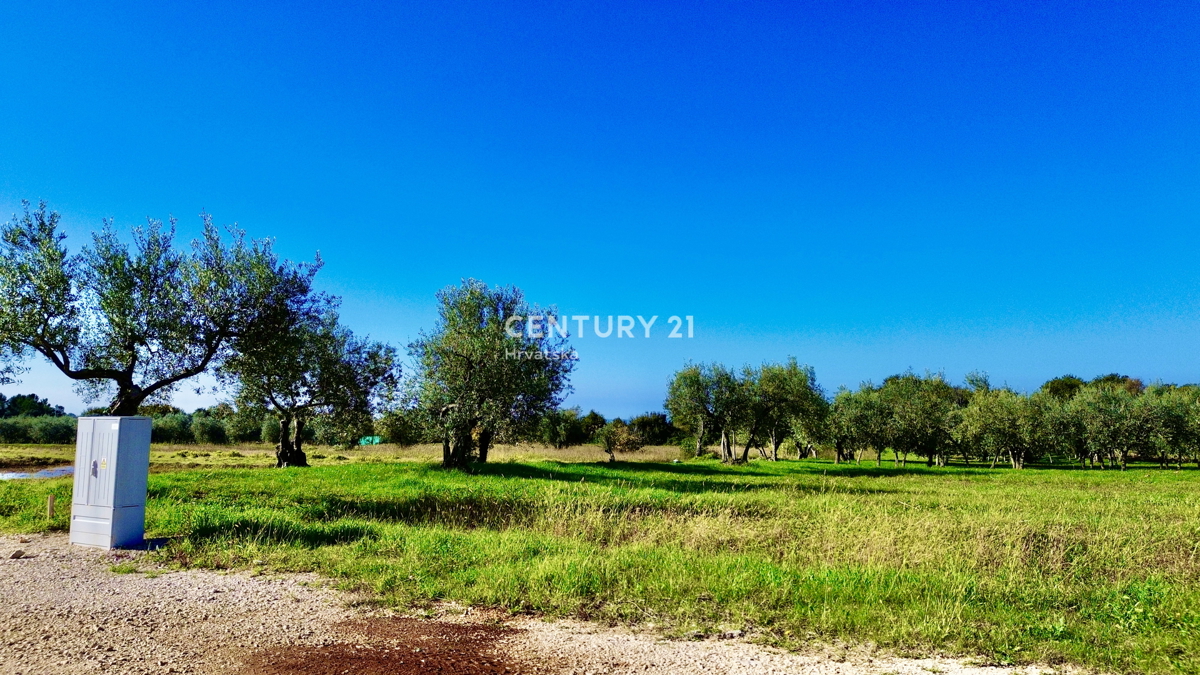 POREČ, OKOLICA, ODLIČNO GRADBENIŠKO ZEMLJIŠČE Z RAZGLEDOM NA MORJE