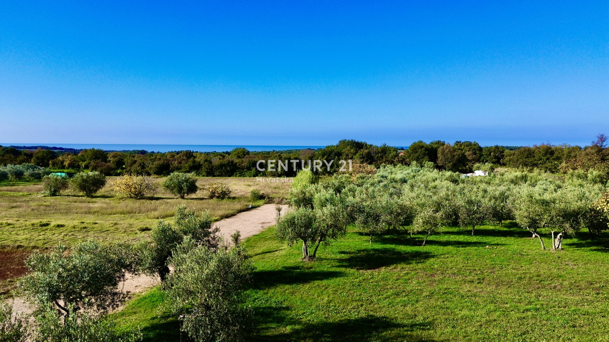 POREČ, OKOLICA, ODLIČNO GRADBENIŠKO ZEMLJIŠČE Z RAZGLEDOM NA MORJE