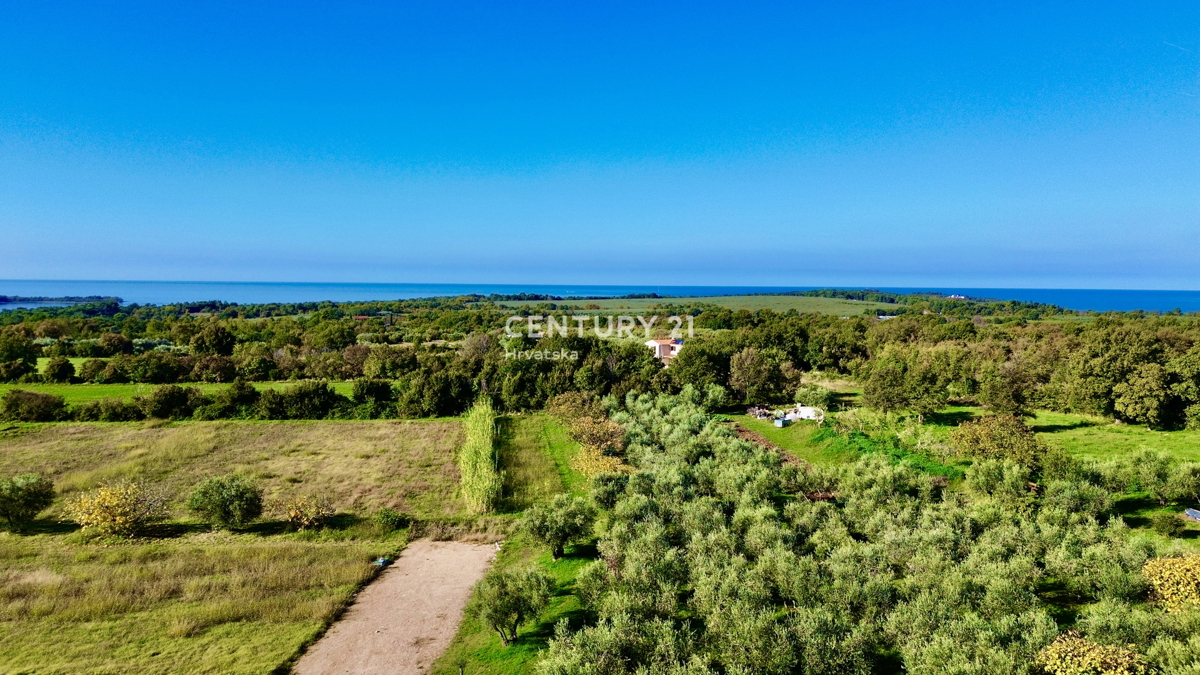 POREČ, OKOLICA, ODLIČNO GRADBENIŠKO ZEMLJIŠČE Z RAZGLEDOM NA MORJE