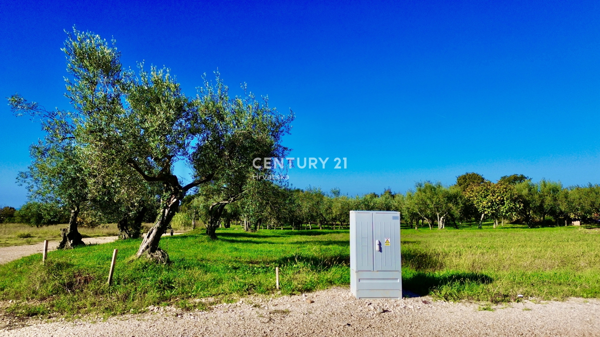POREČ, OKOLICA, ODLIČNO GRADBENIŠKO ZEMLJIŠČE Z RAZGLEDOM NA MORJE