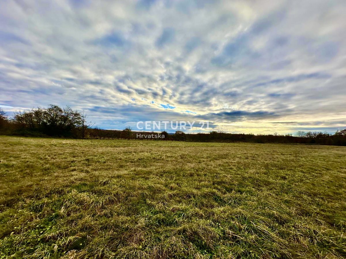 ŽMINJ, OKOLICA, ODLIČNO GRADBENO ZEMLJIŠČE