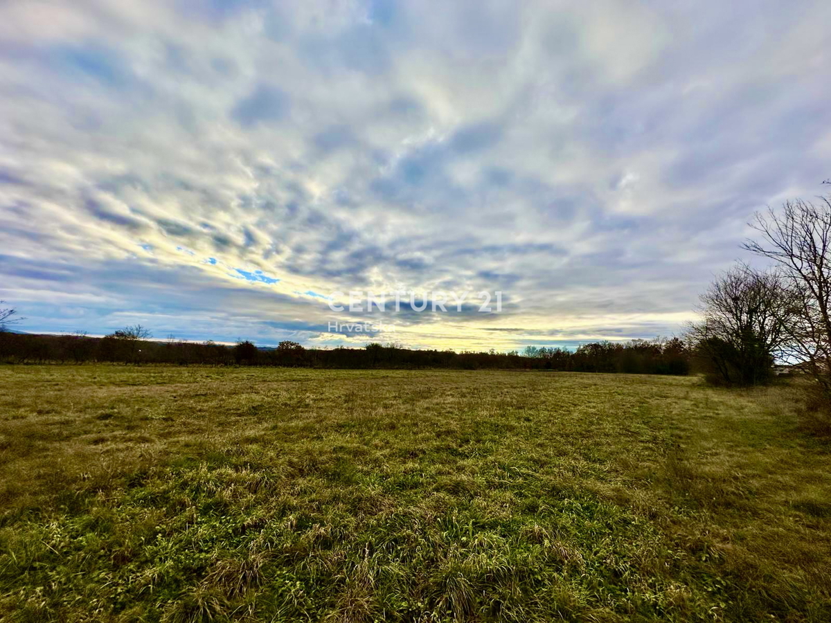ŽMINJ, OKOLICA, ODLIČNO GRADBENO ZEMLJIŠČE