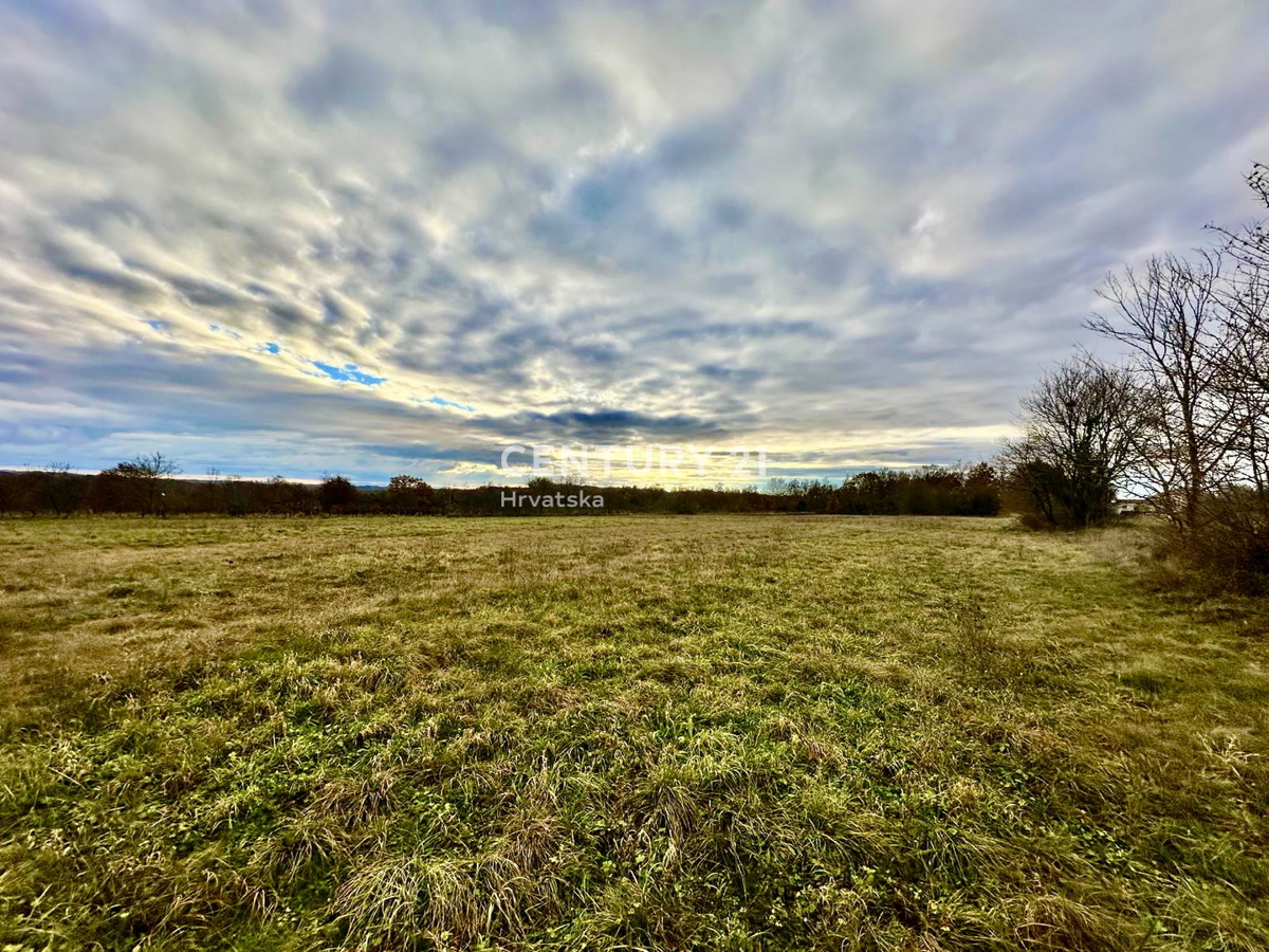 ŽMINJ, OKOLICA, ODLIČNO GRADBENO ZEMLJIŠČE