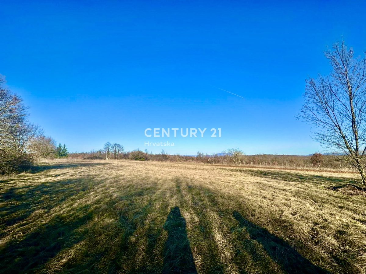 ŽMINJ, OKOLICA, ODLIČNO GRADBENO ZEMLJIŠČE