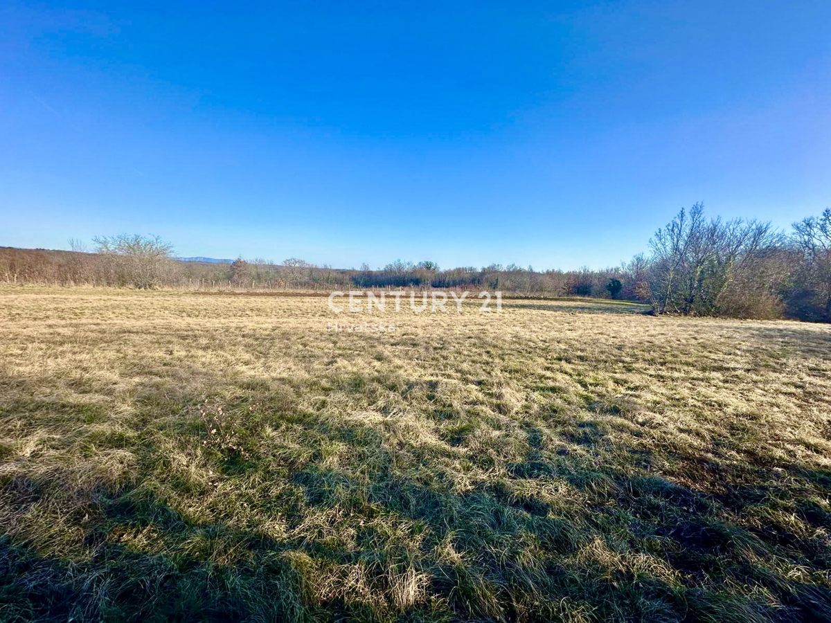 ŽMINJ, OKOLICA, ODLIČNO GRADBENO ZEMLJIŠČE