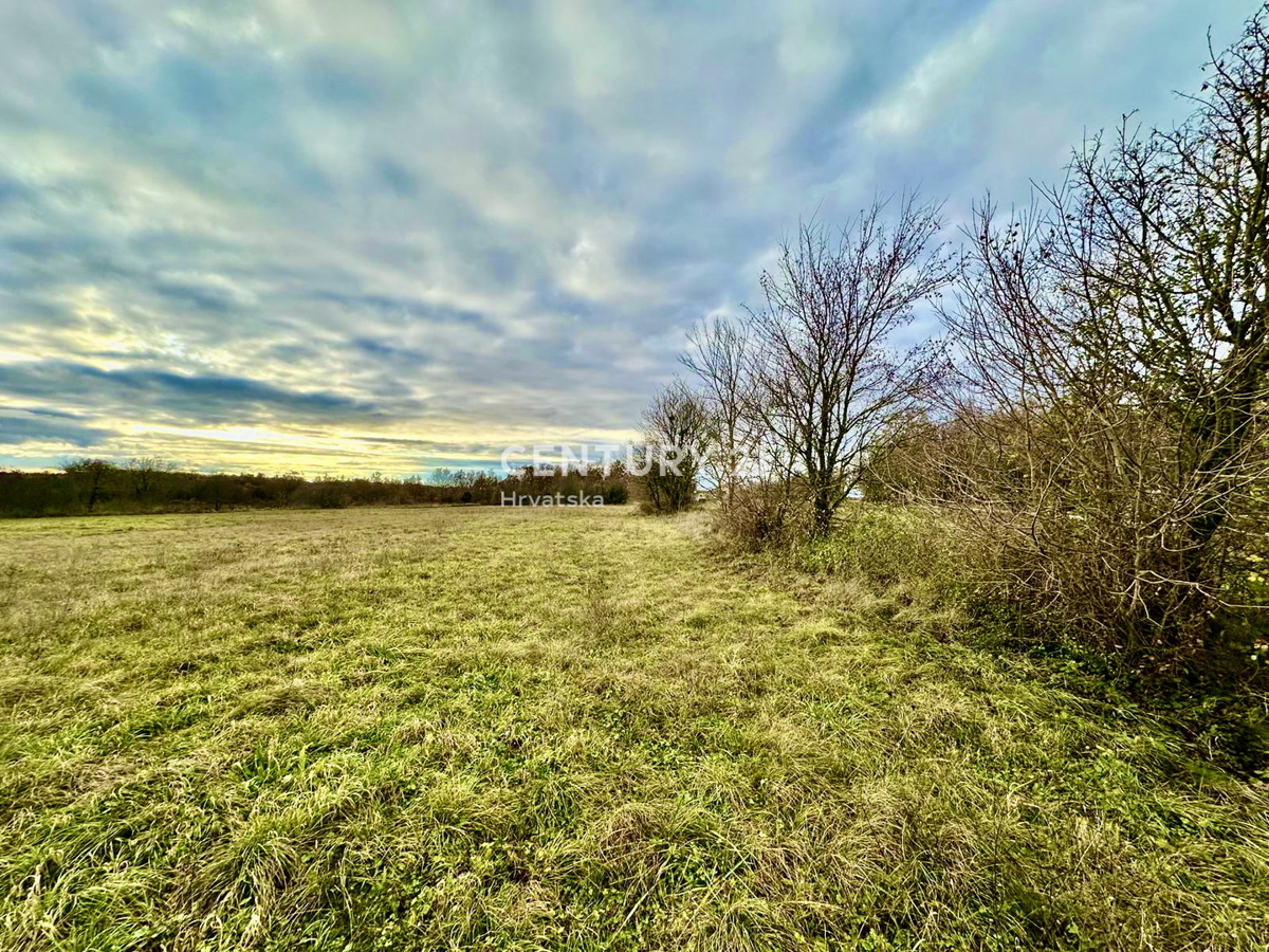 ŽMINJ, OKOLICA, ODLIČNO GRADBENO ZEMLJIŠČE