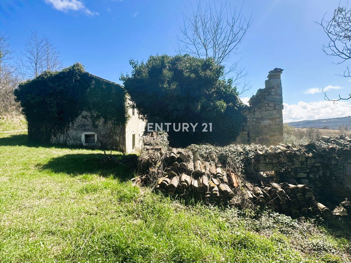 GROŽNJAN, PRODAJA ČUDOVITEGA POSESTVA Z ODPRTIM POGLEDOM NA NARAVO