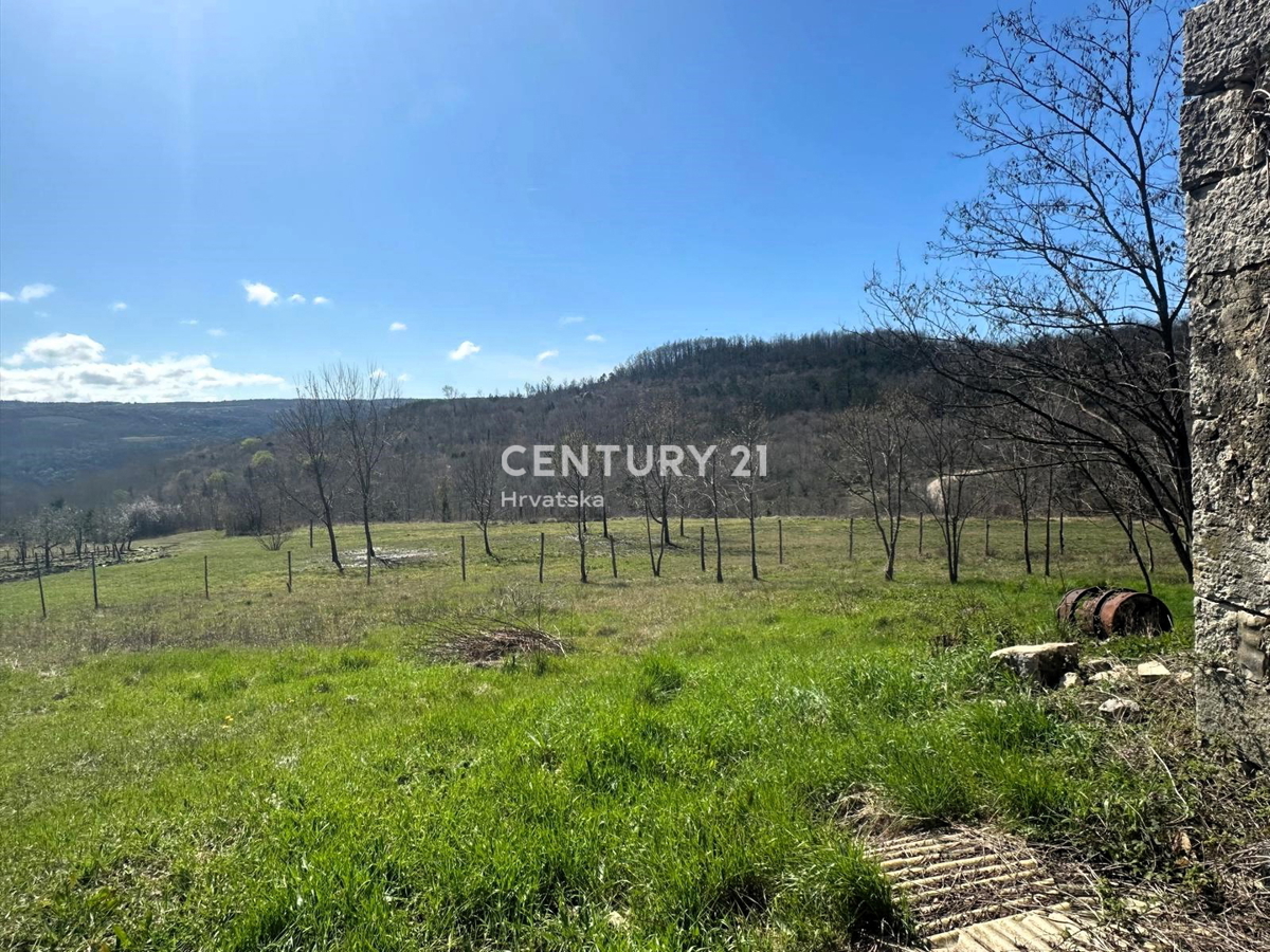 GROŽNJAN, PRODAJA ČUDOVITEGA POSESTVA Z ODPRTIM POGLEDOM NA NARAVO