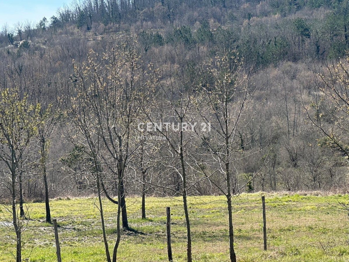 GROŽNJAN, PRODAJA ČUDOVITEGA POSESTVA Z ODPRTIM POGLEDOM NA NARAVO