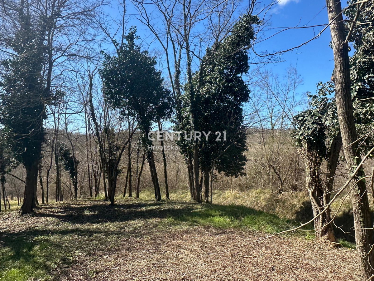 GROŽNJAN, PRODAJA ČUDOVITEGA POSESTVA Z ODPRTIM POGLEDOM NA NARAVO