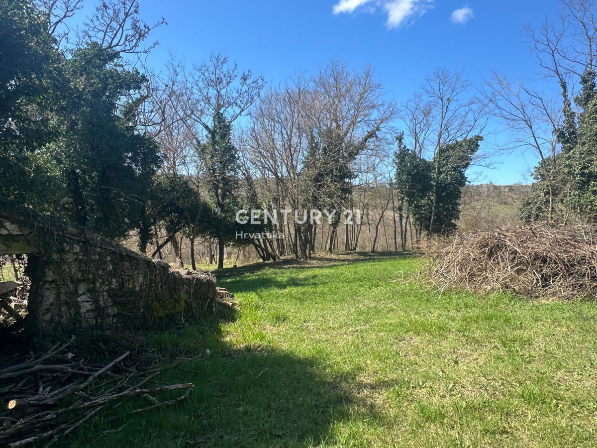 GROŽNJAN, PRODAJA ČUDOVITEGA POSESTVA Z ODPRTIM POGLEDOM NA NARAVO