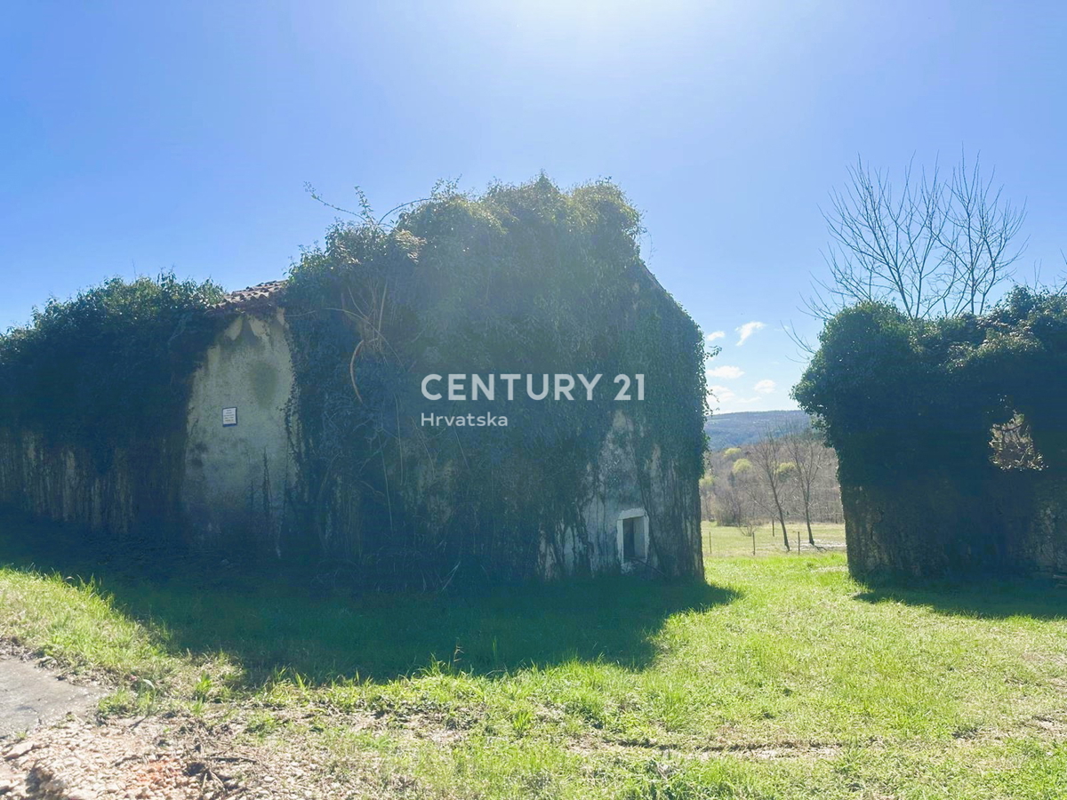 GROŽNJAN, PRODAJA ČUDOVITEGA POSESTVA Z ODPRTIM POGLEDOM NA NARAVO