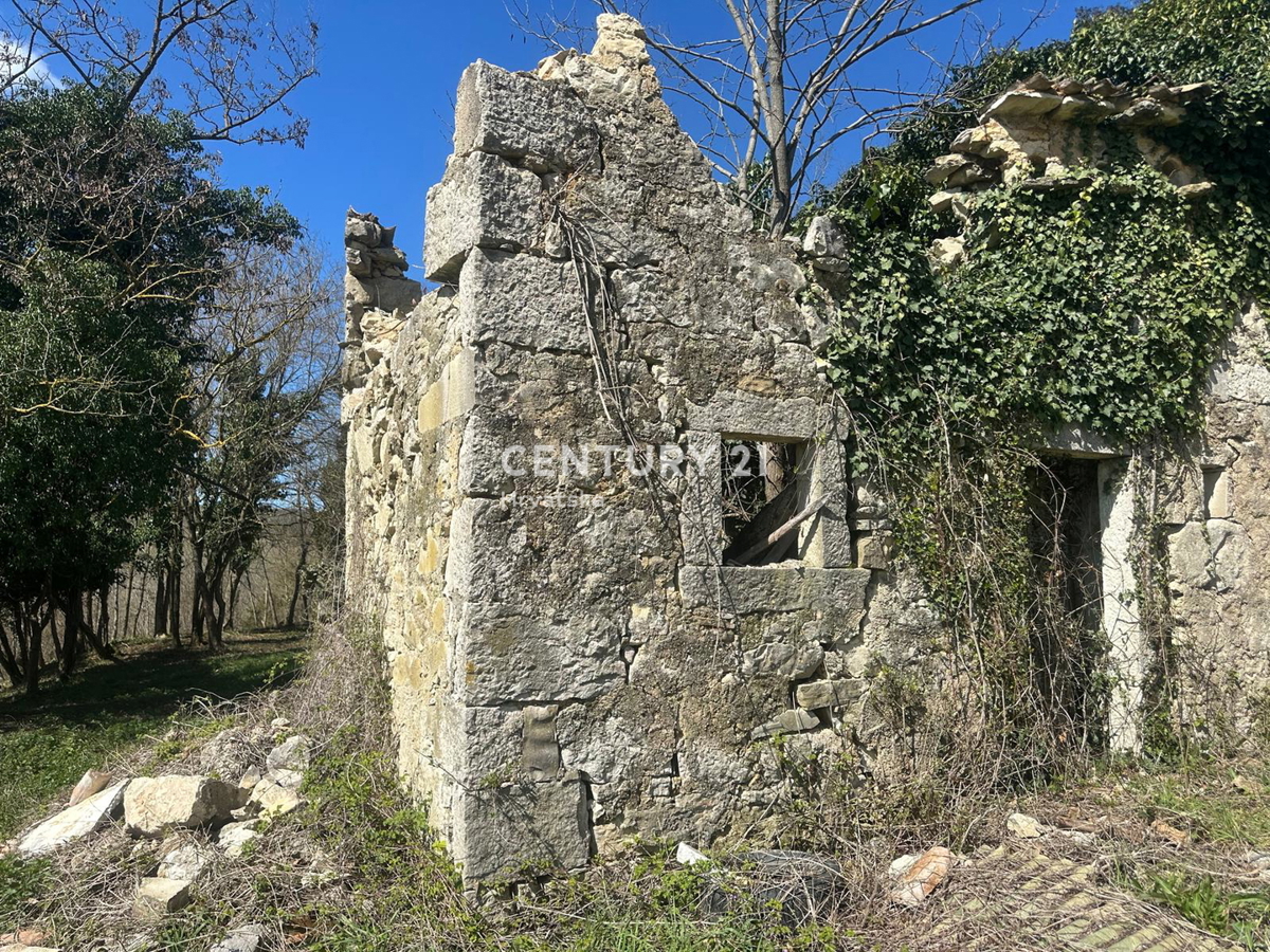 GROŽNJAN, PRODAJA ČUDOVITEGA POSESTVA Z ODPRTIM POGLEDOM NA NARAVO