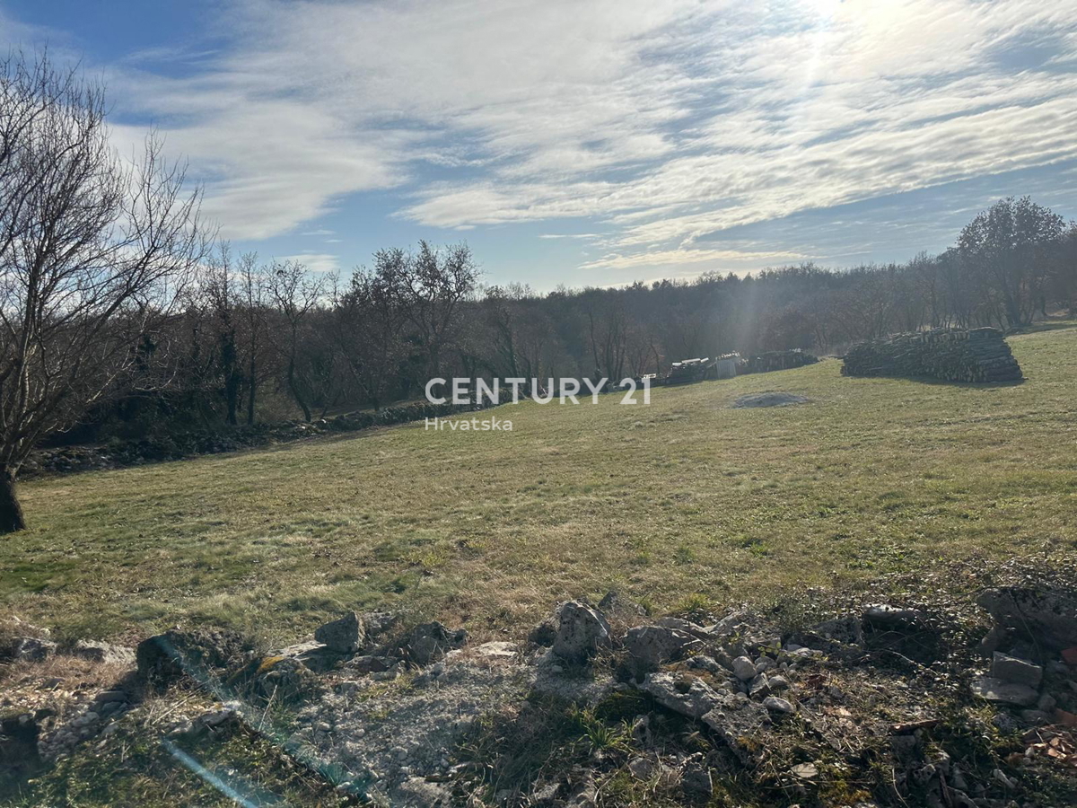 TINJAN, PRODAJA GRADBENEGA ZEMLJIŠČA NA ROBU URBANIZACIJE