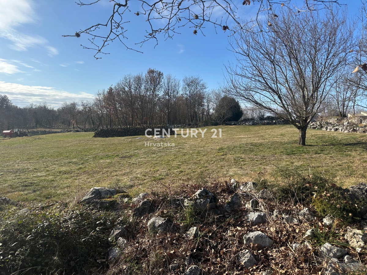 TINJAN, PRODAJA GRADBENEGA ZEMLJIŠČA NA ROBU URBANIZACIJE