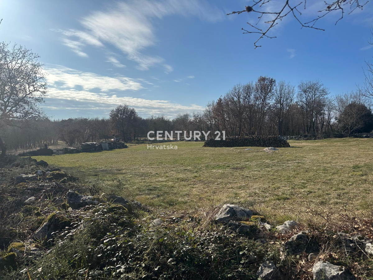 TINJAN, PRODAJA GRADBENEGA ZEMLJIŠČA NA ROBU URBANIZACIJE