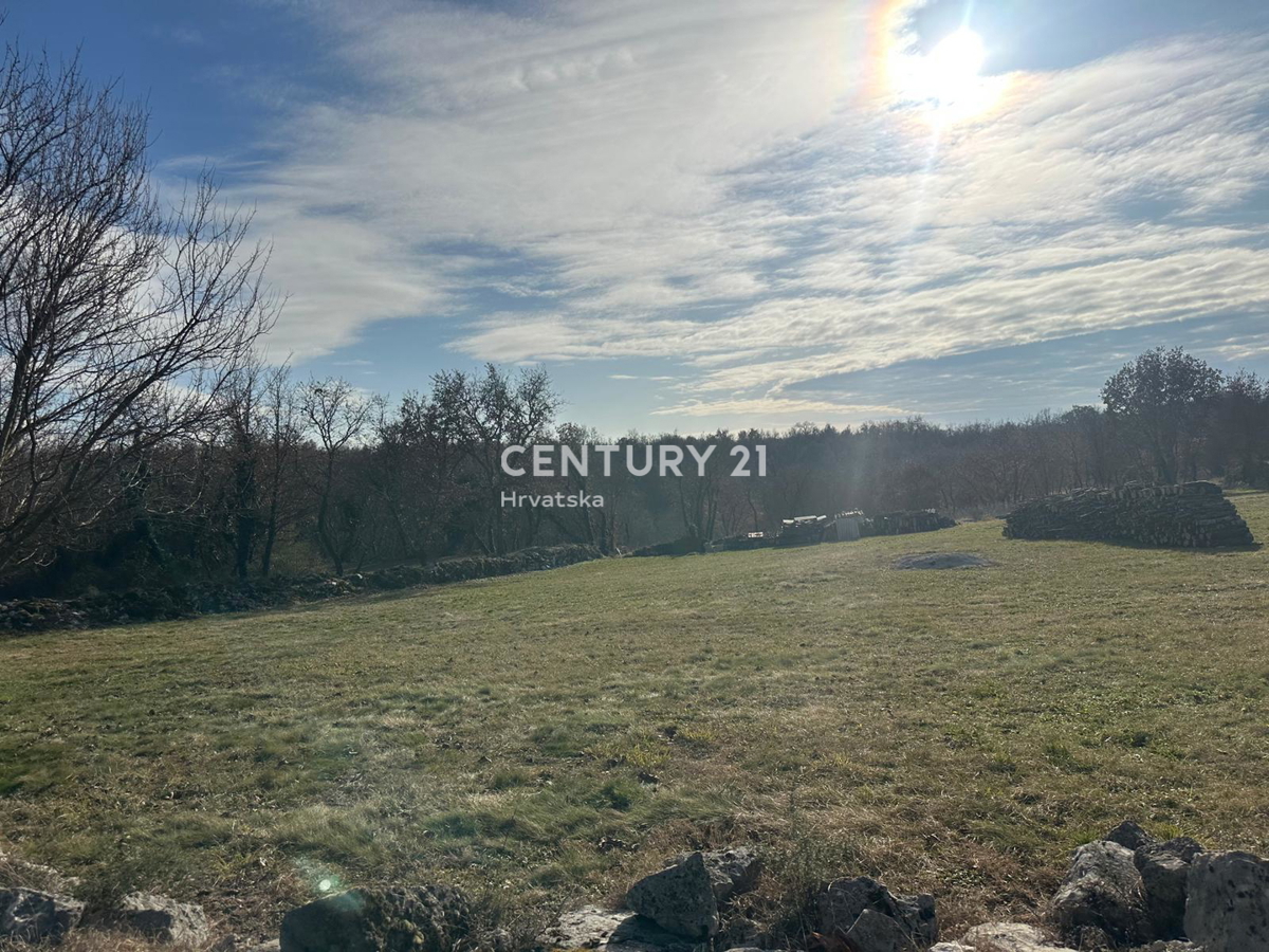 TINJAN, PRODAJA GRADBENEGA ZEMLJIŠČA NA ROBU URBANIZACIJE