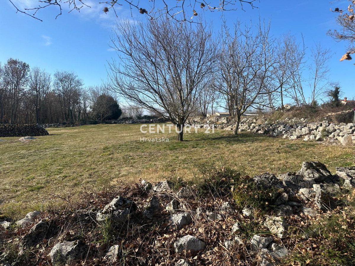 TINJAN, PRODAJA GRADBENEGA ZEMLJIŠČA NA ROBU URBANIZACIJE