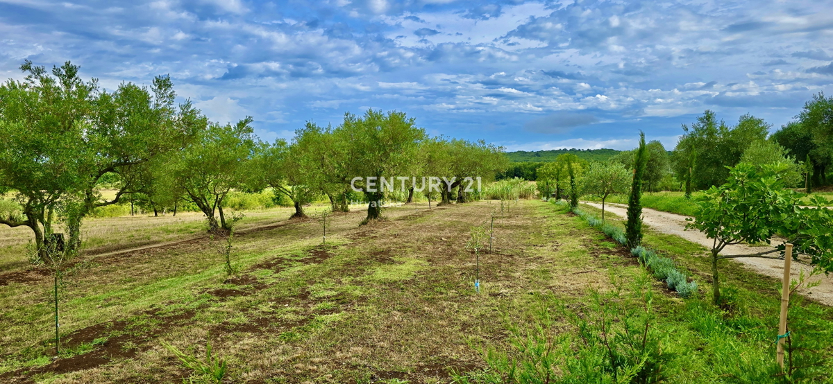 UMAG, OKOLICA, FANTASTIČNA HIŠA Z RAZGLEDOM NA MORJE, PRILOŽNOST!!