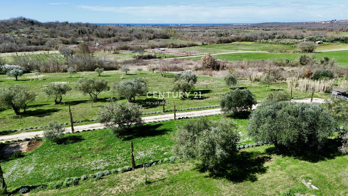 UMAG, OKOLICA, FANTASTIČNA HIŠA Z RAZGLEDOM NA MORJE, PRILOŽNOST!!