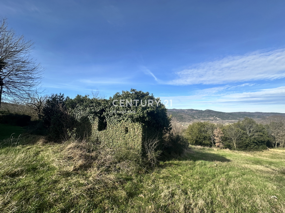 ISTRA, BOLJUN, KAMENA RUŠEVINA Z VELIKIM ZAZIDANIM OKOLIŠEM IN ODPRTIM POGLEDOM NA NARAVO