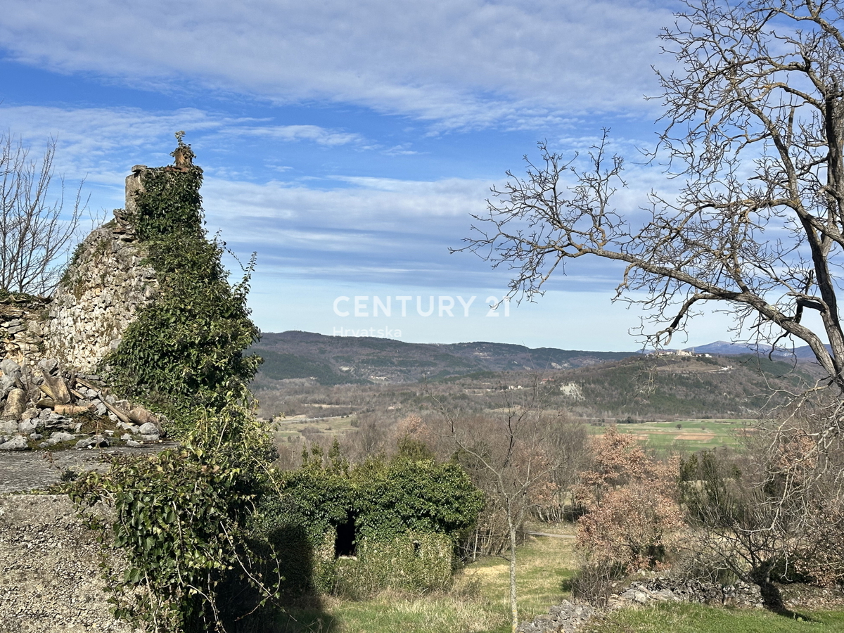 ISTRA, BOLJUN, KAMENA RUŠEVINA Z VELIKIM ZAZIDANIM OKOLIŠEM IN ODPRTIM POGLEDOM NA NARAVO