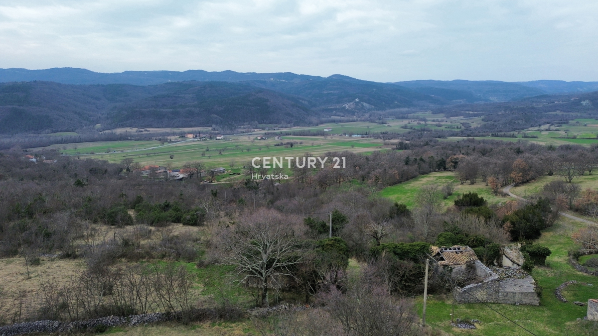 ISTRA, BOLJUN, KAMENA RUŠEVINA Z VELIKIM ZAZIDANIM OKOLIŠEM IN ODPRTIM POGLEDOM NA NARAVO