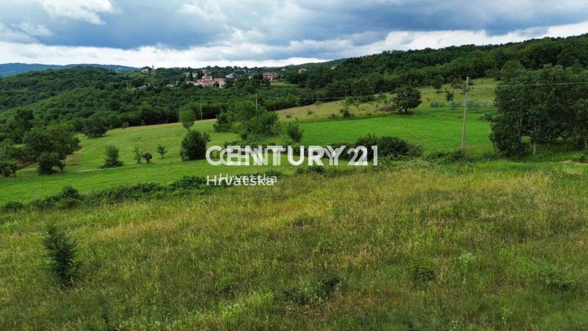 VIŠNJAN, OKOLICA, GRADBENI TEREN Z ATRAKTIVNIM RAZGLEDOM IN GRADBENIM DOVOLJENJEM