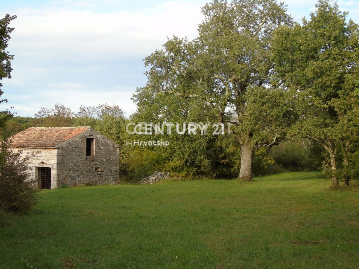 Prodaja, zemljišče, kmetijska površina, Istarska županija, Rovinj