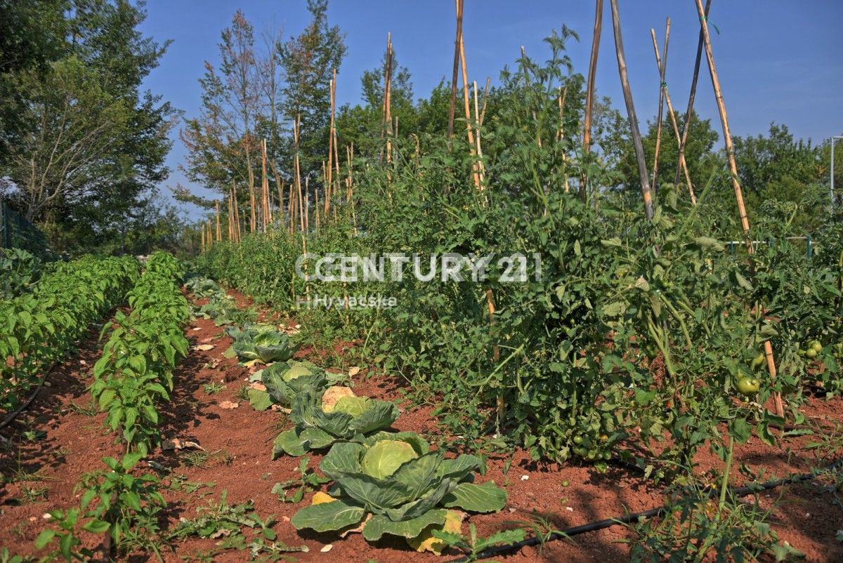 Prodaja, hiša, samostojna, Istarska županija, Kanfanar