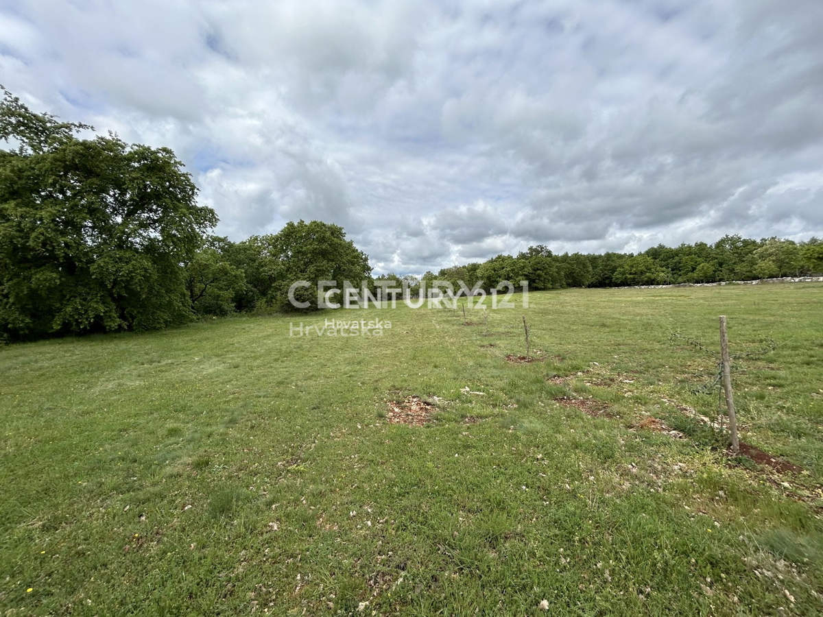 Prodaja, zemljišče, gradbeno, Istarska županija, Sveti Lovreč