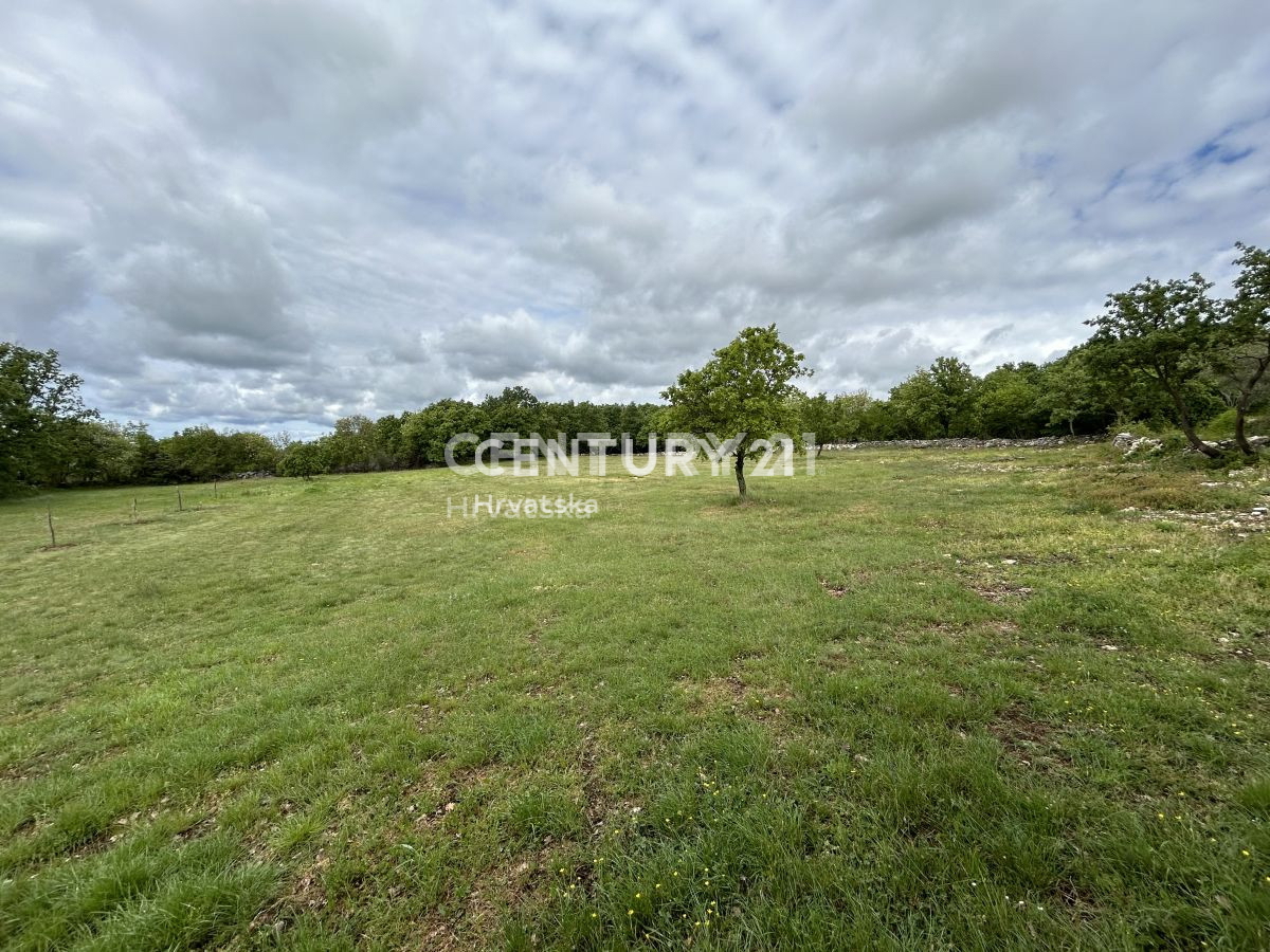 Prodaja, zemljišče, gradbeno, Istarska županija, Sveti Lovreč