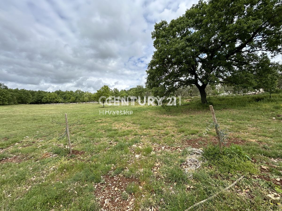 Prodaja, zemljišče, gradbeno, Istarska županija, Sveti Lovreč