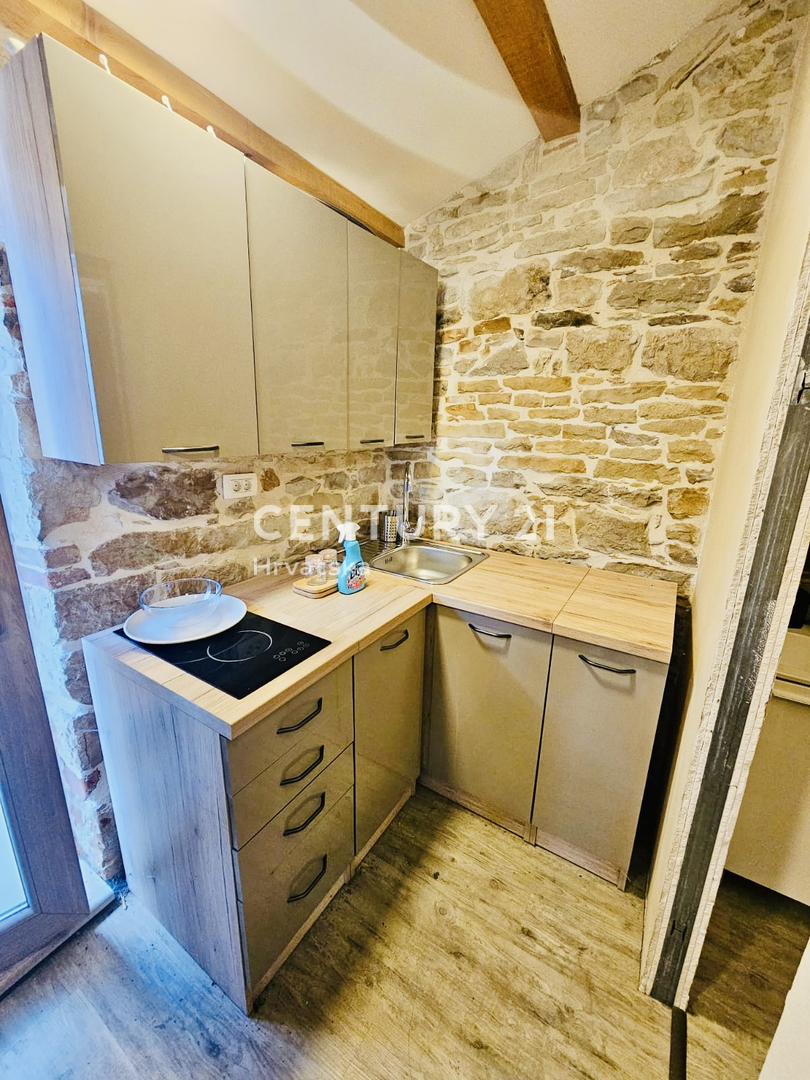 POREČ, VIŠNJAN, RENOVIRANA KAMENA HIŠA IN DVA STUDIO APARTMAJA