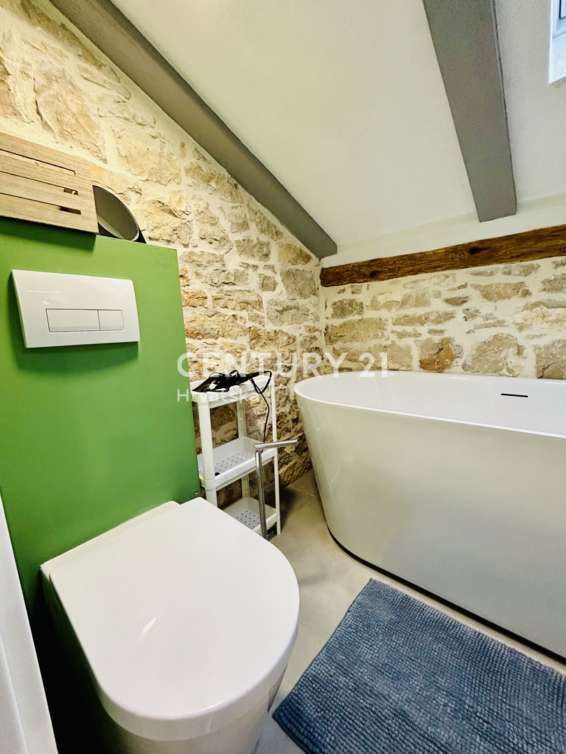 POREČ, VIŠNJAN, RENOVIRANA KAMENA HIŠA IN DVA STUDIO APARTMAJA