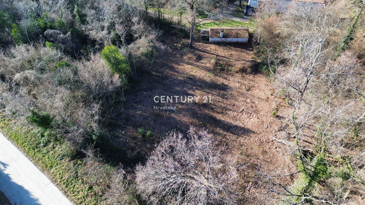 LABIN, OKOLICA, KAMNITA HIŠA IN VELIKO GRADBENO ZEMLJIŠČE