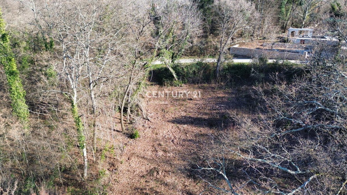 LABIN, OKOLICA, KAMNITA HIŠA IN VELIKO GRADBENO ZEMLJIŠČE