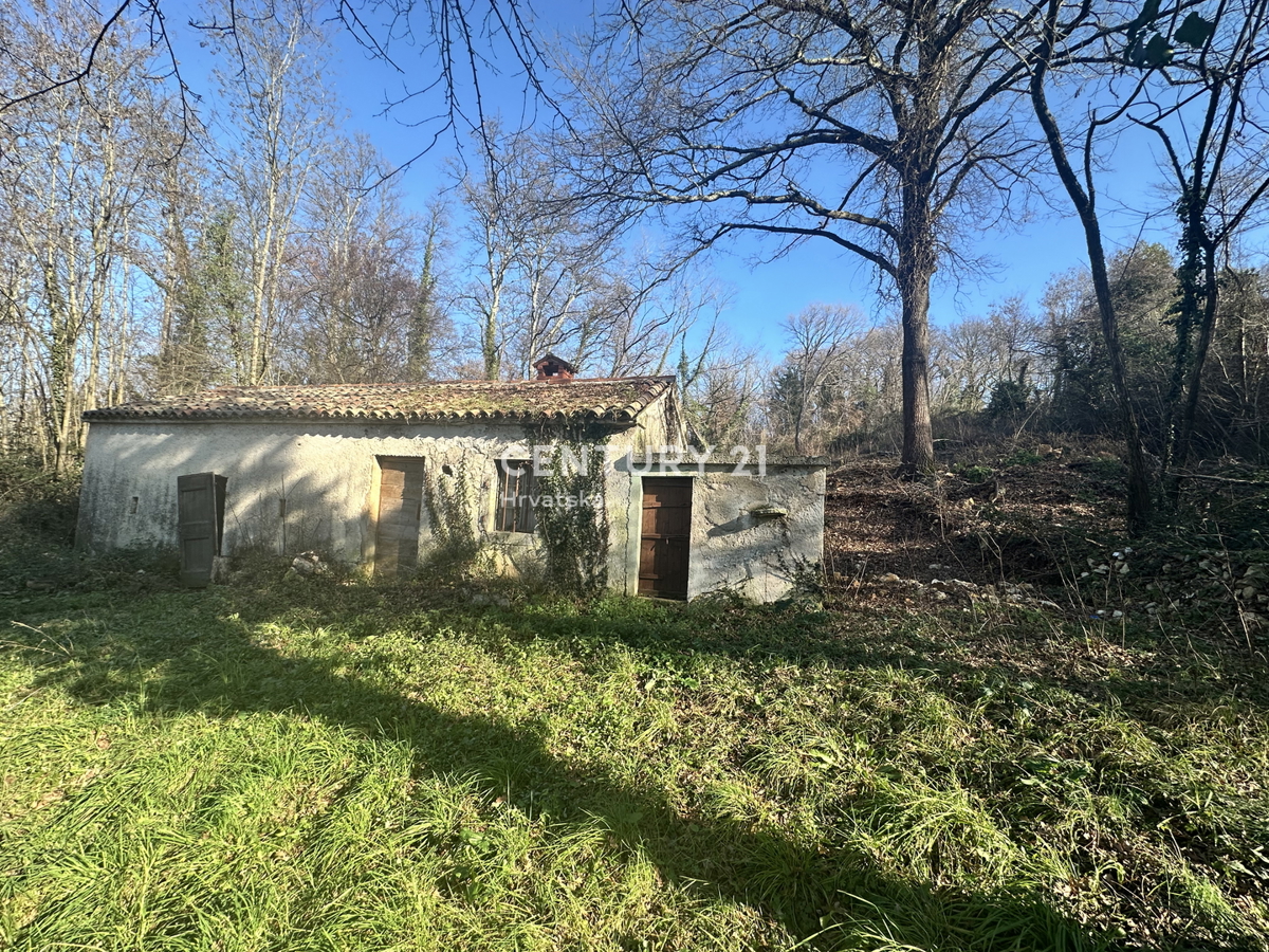 LABIN, OKOLICA, KAMNITA HIŠA IN VELIKO GRADBENO ZEMLJIŠČE