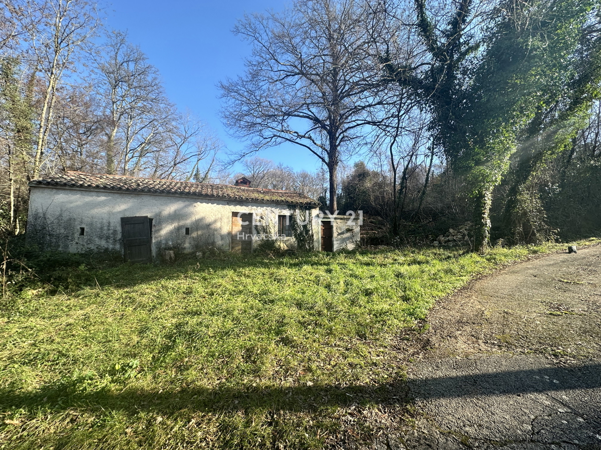 LABIN, OKOLICA, KAMNITA HIŠA IN VELIKO GRADBENO ZEMLJIŠČE