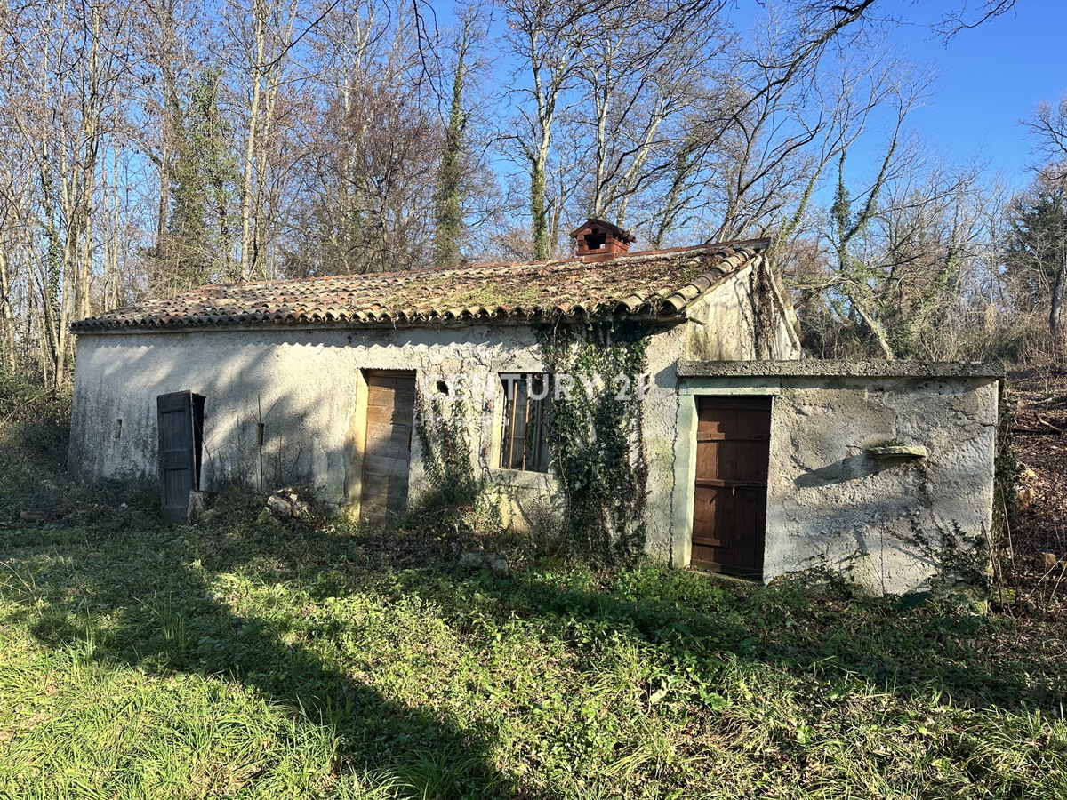 LABIN, OKOLICA, KAMNITA HIŠA IN VELIKO GRADBENO ZEMLJIŠČE