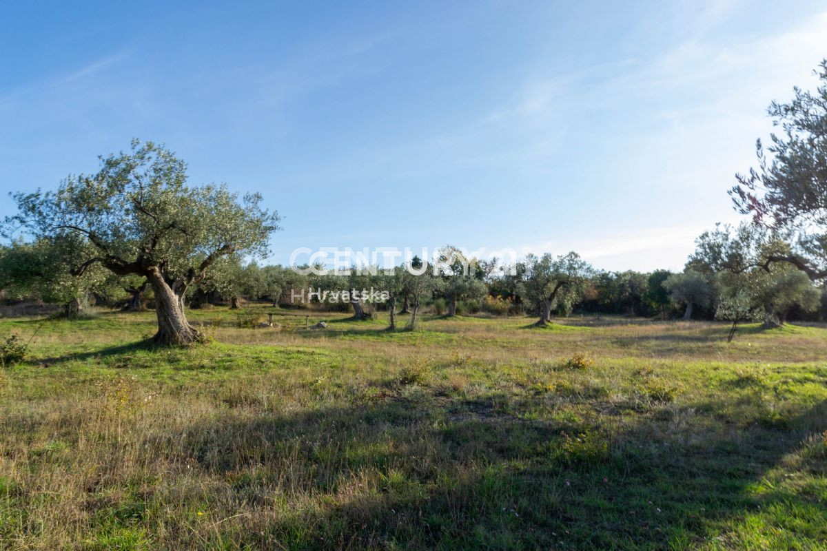 Prodaja, zemljišče, kmetijska površina, Istarska županija, Rovinj